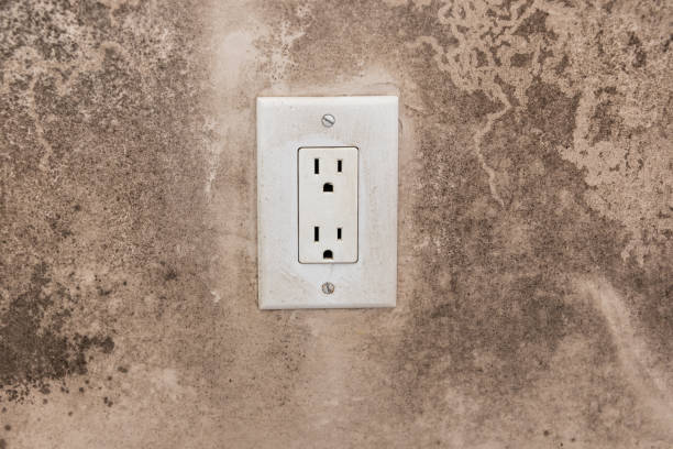 Professional Mold Removal in Flourtown, PA